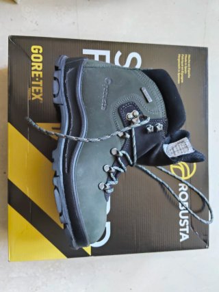 Botas de trabajo Robusta Gore-Tex