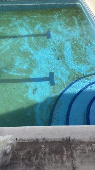 Vaciado y pintar las piscinas de fibra Y OBRAS