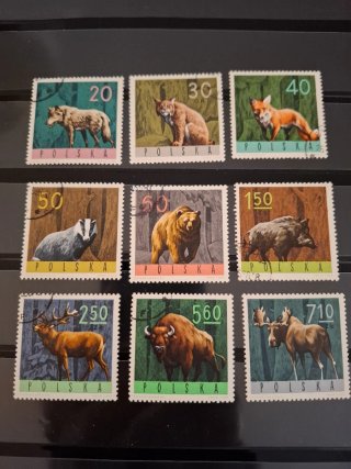 Sellos Polonia 1965 Animales Bosque