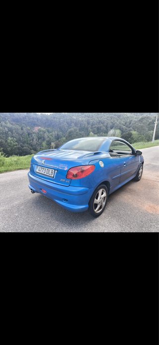 Peugeot 206 2004