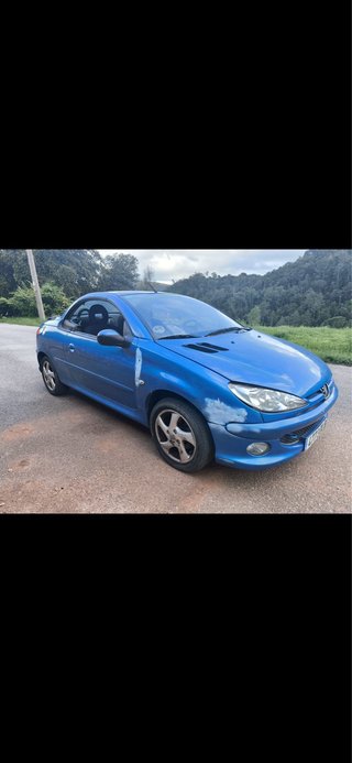 Peugeot 206 2004