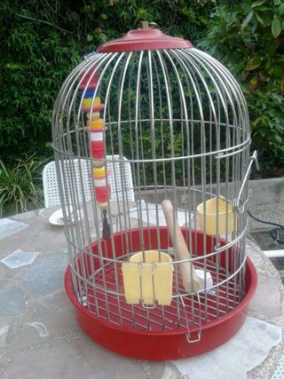 Jaula para loro