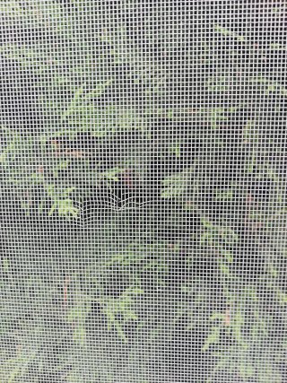 Mosquitera para puerta