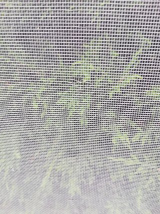 Mosquitera para puerta