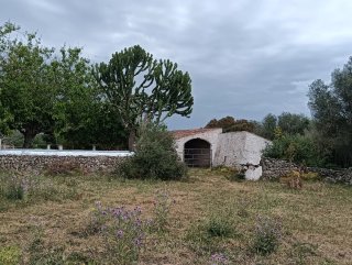 Finca Rustica en Alaior 148.586m2