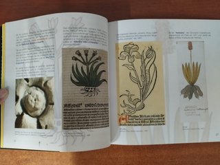 Crujida de Gamones de Ubrique