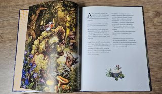 Libro. El pequeño troll