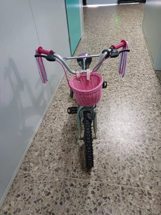 Bicicleta niña Monster High