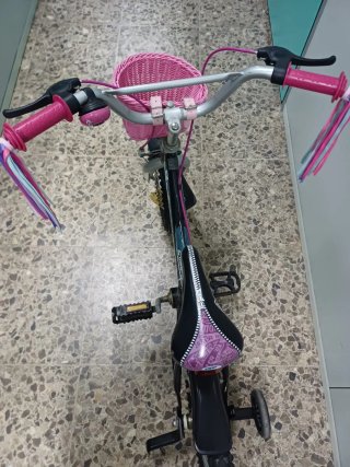 Bicicleta niña Monster High