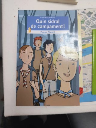 Quin sidral de campament!