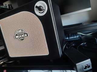 Guitarra LTD + Amplificador Mooer
