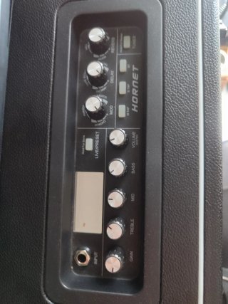 Guitarra LTD + Amplificador Mooer