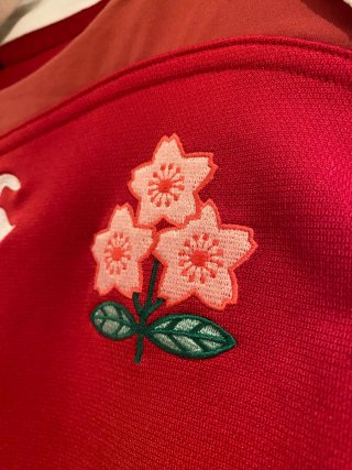 Camiseta Rugby Japón Mundial 2007 Canterbury