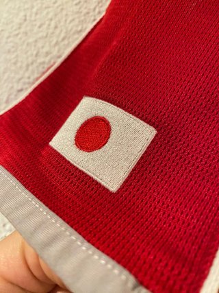 Camiseta Rugby Japón Mundial 2007 Canterbury