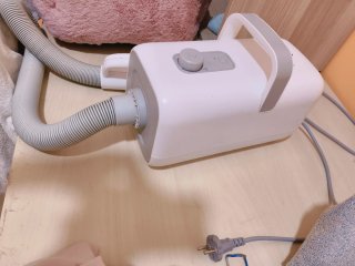 Secador peluquería canina