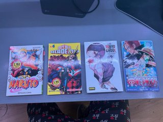 Mangas variados.