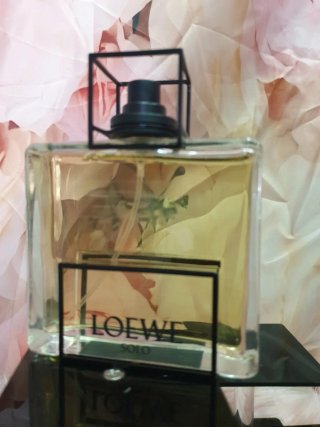 Perfume Loewe Solo esencial edt 100mk