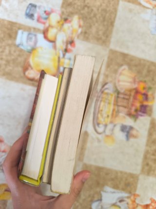 3 Libros descatalogados - Van Gogh