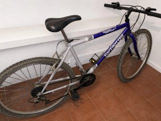 Bicicleta de montaña