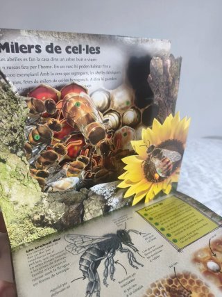 Libro niños