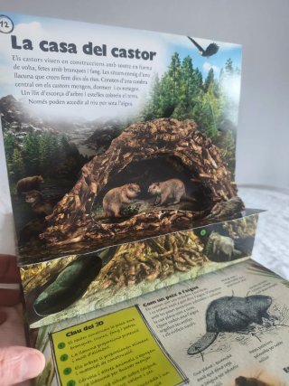 Libro niños