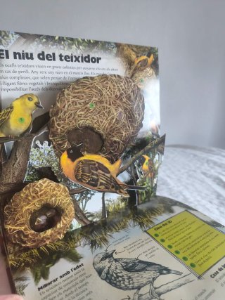 Libro niños