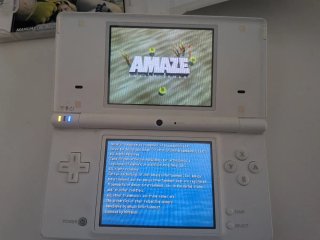 Nintendo DSi + Shrek Super Slam