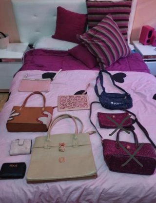 Lote Bolsos y Carteras Tous
