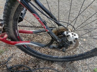 Bicicleta Conor Talla M. Prácticamente nueva.
