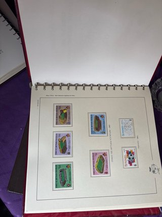 Álbum Oficial RFEF Edición Limitada 0005722