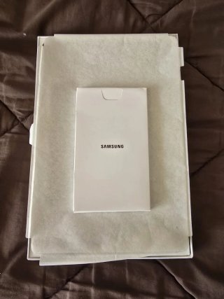 Samsung Galaxy Tab S9 FE Gris