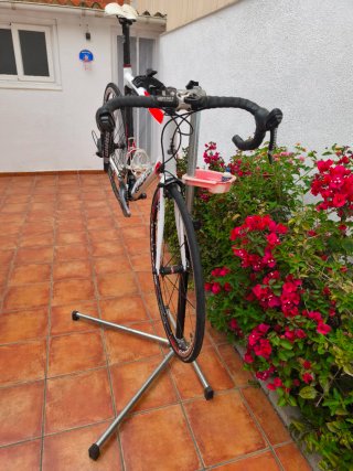 Bicicleta Raleigh Avant Comp Carbono