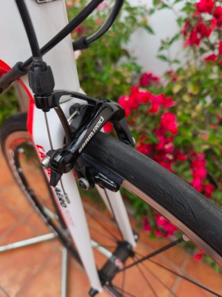 Bicicleta Raleigh Avant Comp Carbono