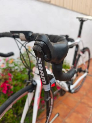 Bicicleta Raleigh Avant Comp Carbono