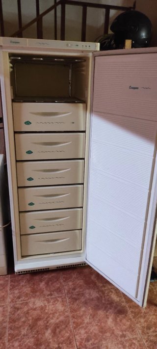 Congelador vertical Aspes