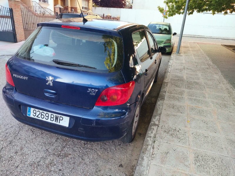 Peugeot 307 2002 - foto 1