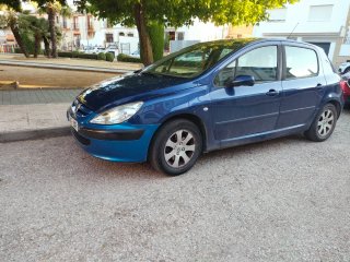 Peugeot 307 2002