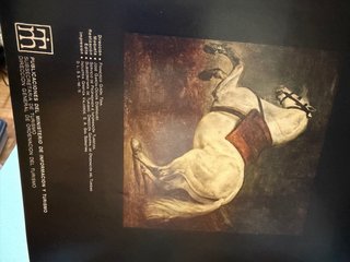 El caballo en España