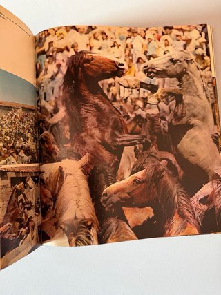 El caballo en España