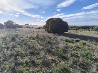 Terreno en pantano Peñarroya (lagunas de Ruidera)