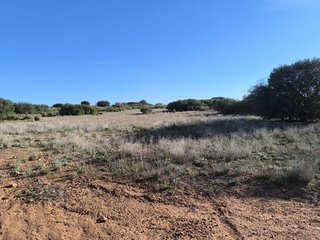 Terreno en pantano Peñarroya (lagunas de Ruidera)