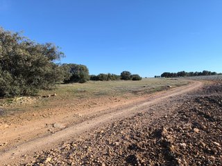 Terreno en pantano Peñarroya (lagunas de Ruidera)