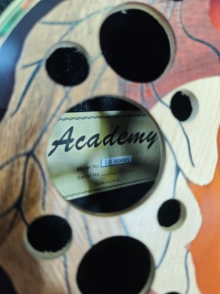 Guitarra acústica Academy 600BS