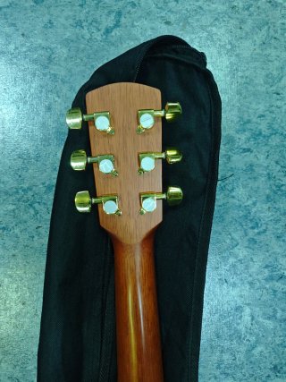 Guitarra acústica Academy 600BS
