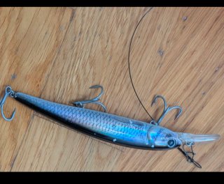 Señuelo de pesca. Con pala delantera