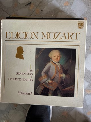 Collezione Vinili Classici Grandi Compositori
