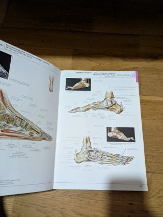 Atlas de anatomía humana