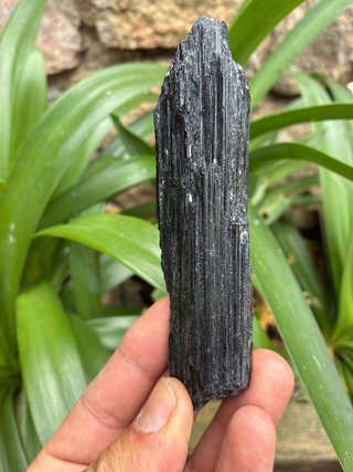 Turmalina Negra Natural