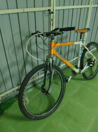 Bicicleta Orbea Veneto