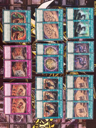 YUGIOH DECK - MITSURUGI + REPTIL